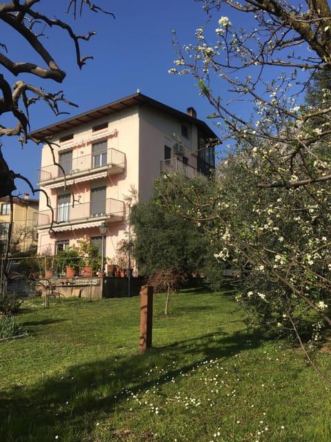 Property building, Garden view