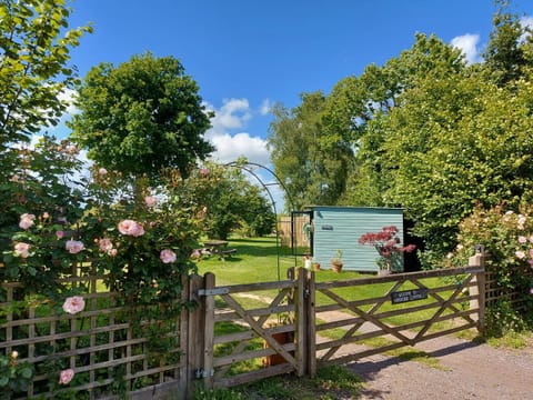 Hopgarden Glamping Luxury Shepherds Huts Campground/ 
RV Resort in Rother District