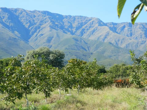 Finca La Julia Apartment in San Luis Province, Argentina