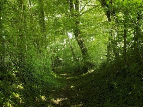 Charmante longère 18ème siècle avec jardin, animaux acceptés - FR-1-497-49 House in La Perrière