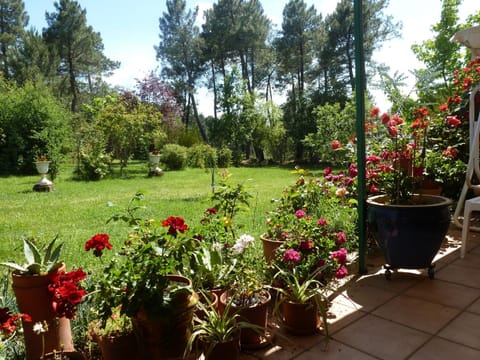 Spring, Day, Garden, Garden view