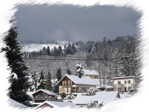 Natural landscape, Winter, View (from property/room)