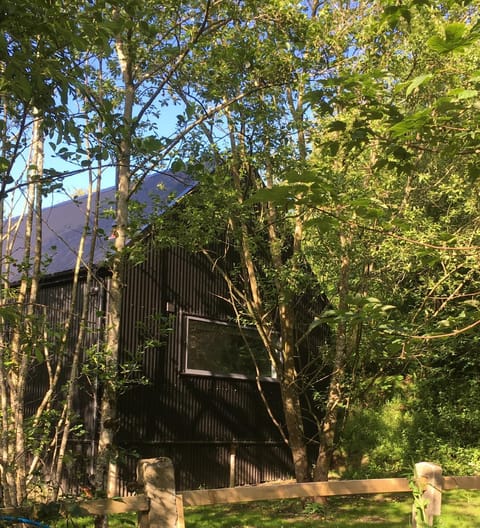 Alder Cabin Natur-Lodge in Kilkenny City