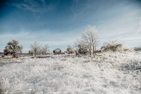 Property building, Natural landscape