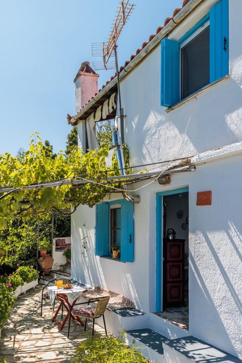 Property building, Patio, Garden, Garden view