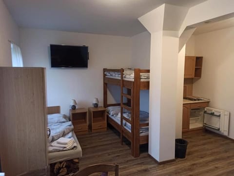 penzion U Kmotra Apartment hotel in South Bohemian Region