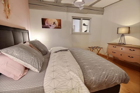 LE PTIT BARTHO Apartment in Colmar