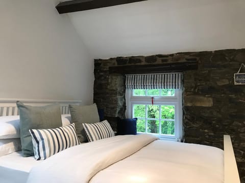 Riverwash Cottage House in Wales