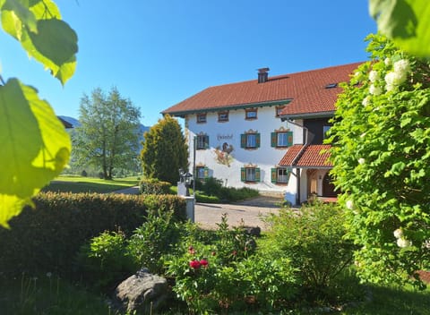 Property building, Spring