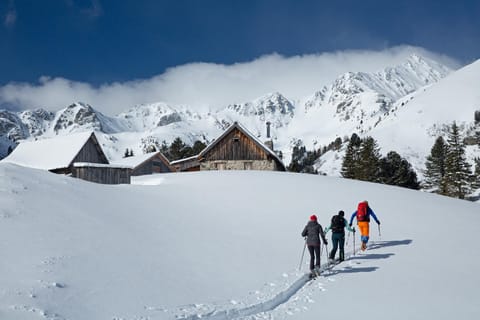 Winter, Skiing