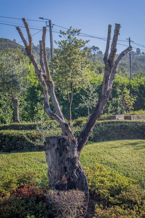 Garden, Garden view