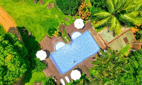 Garden, Swimming pool