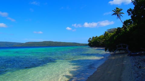 Tranquility Island Eco Dive Resort Resort in Vanuatu