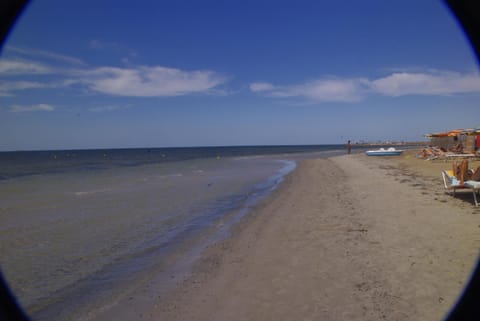 Natural landscape, Beach, On site