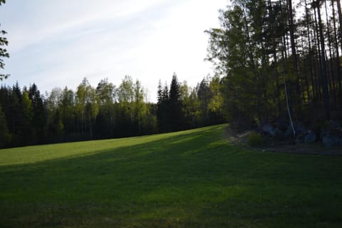 Neighbourhood, Natural landscape, Summer, Garden, On site, Sunset