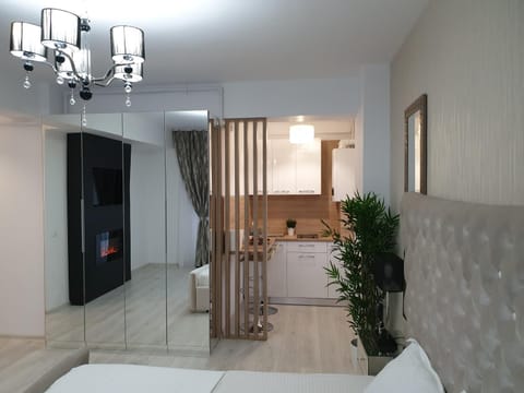 Bed, TV and multimedia, Kitchen or kitchenette, Living room, Photo of the whole room, Seating area, Dining area, Bedroom