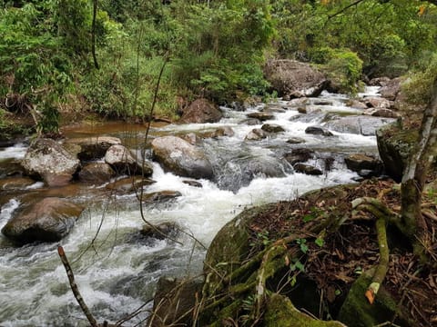 Natural landscape, River view