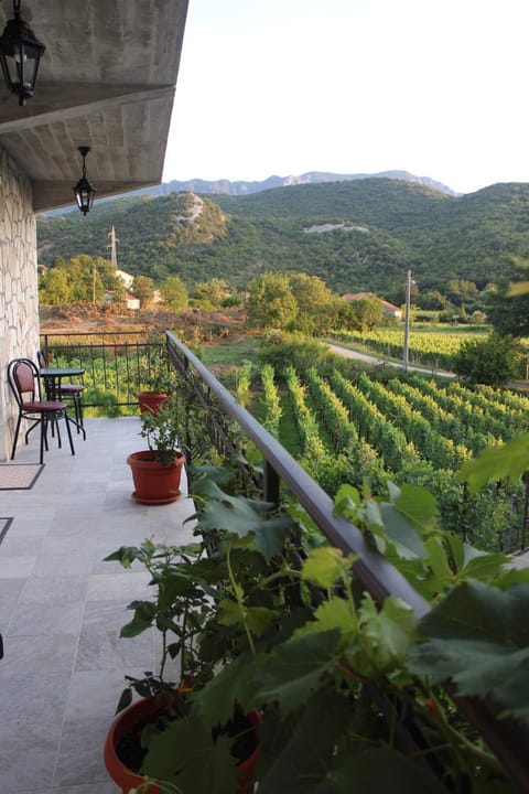 Studio and winery Kalimut Country House in Podgorica Municipality, Montenegro