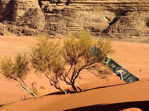 Wadi Rum Magic Nature Camp Campground/ 
RV Resort in Israel