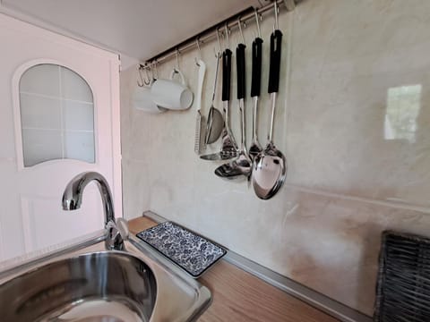 Apartments Villa Amaryllis Apartment in Istria County