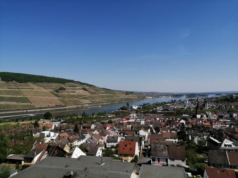 Balcony/Terrace, City view, River view