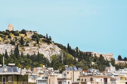 City view, Landmark view, Street view