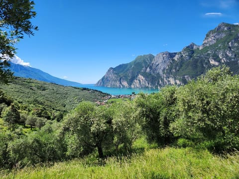 Natural landscape, Lake view