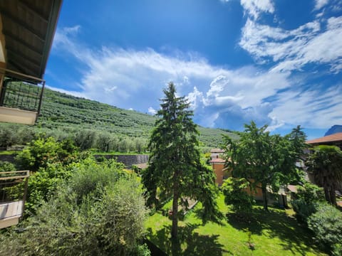 Garden view, Mountain view