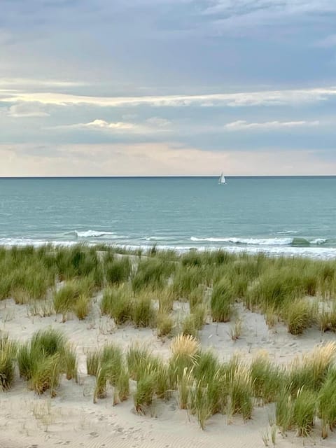 Nearby landmark, Beach