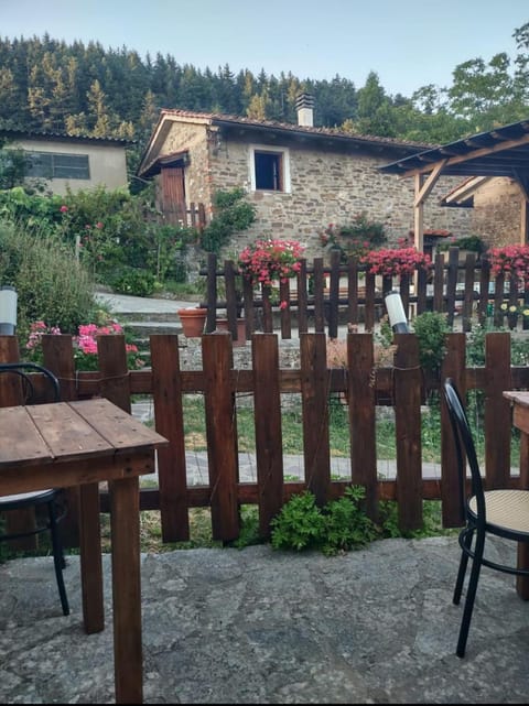 Fattoria di Cintoia Farm Stay in Emilia-Romagna