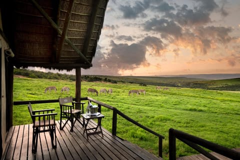 Patio, Natural landscape, View (from property/room), Sunset