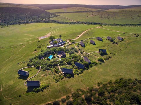 Gorah Elephant Camp Luxury tent in Eastern Cape