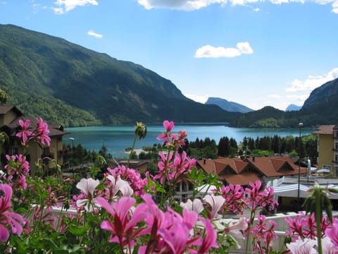 Lake view