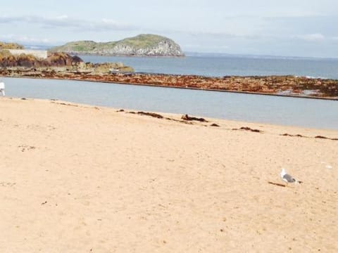 Natural landscape, Beach, Landmark view, Sea view