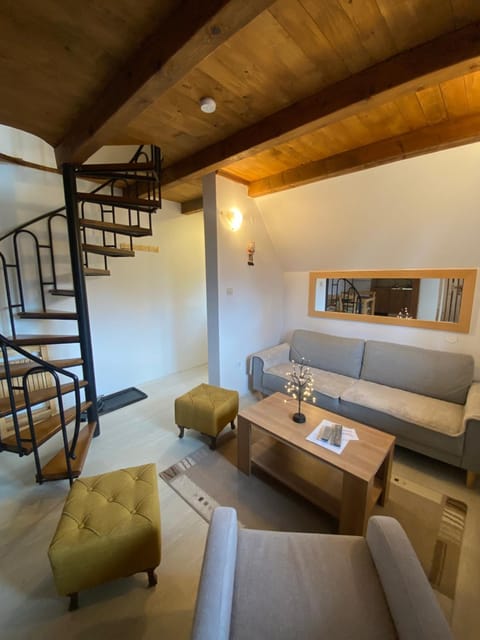 Vila Grand Mitrovac Apartment in Zlatibor District, Serbia