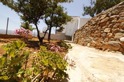 Property building, Facade/entrance, Garden