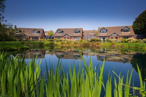 Natural landscape, Lake view