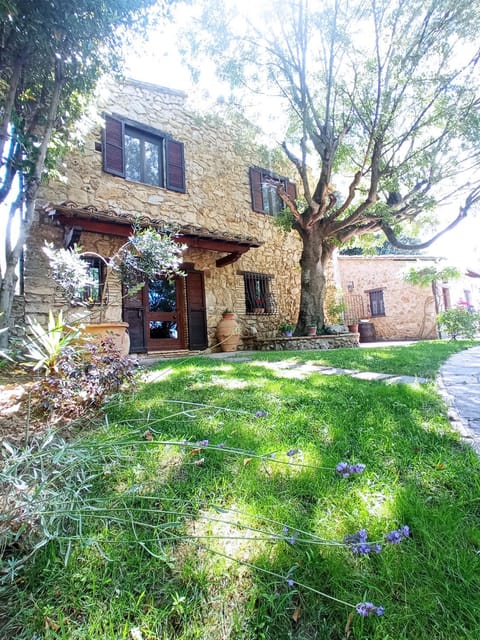 Property building, Facade/entrance, Garden