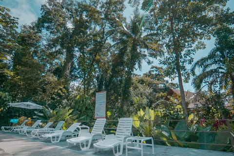 Garden view, Pool view, Swimming pool