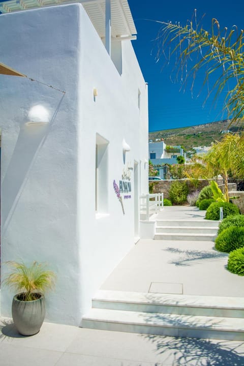 White Blossom Hotel in Paros