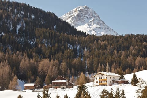 Property building, Natural landscape, Winter