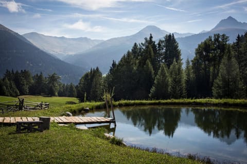 Natural landscape, Lake view, Mountain view, Swimming pool