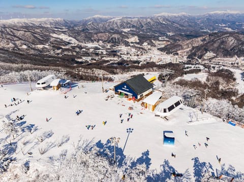 Natural landscape, Bird's eye view, Winter, Skiing