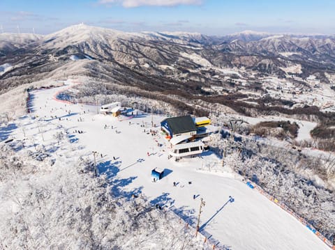 Natural landscape, Bird's eye view, Winter, Skiing