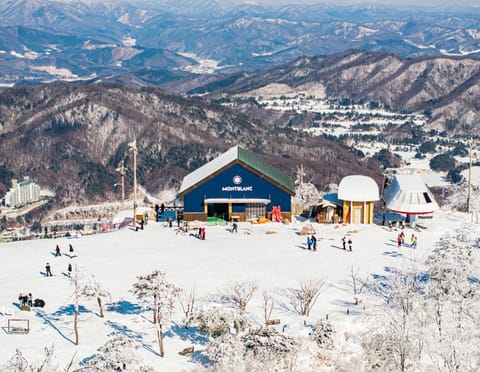 Natural landscape, Winter, Skiing