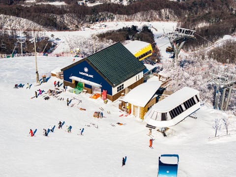 Winter, Skiing