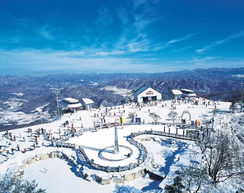 Natural landscape, Bird's eye view, Winter, Skiing