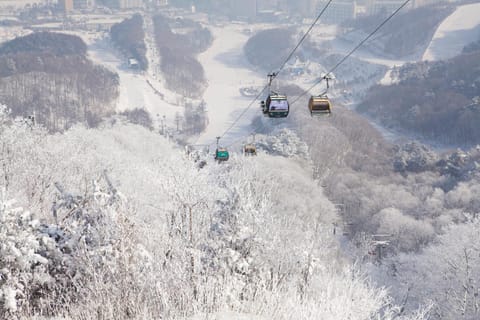 Natural landscape, Winter, Skiing