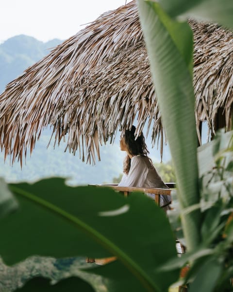 Pù Luông Ecolodge Nature lodge in Laos