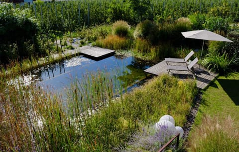 Patio, Garden, Swimming pool, Swimming pool